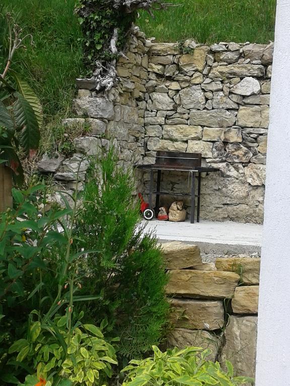 Apartment Bella Vista 2 Buzet Luaran gambar
